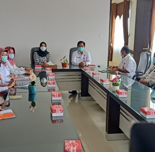 Ketua Dekranasda Banjar Silaturahmi ke Dekranasda Kalsel